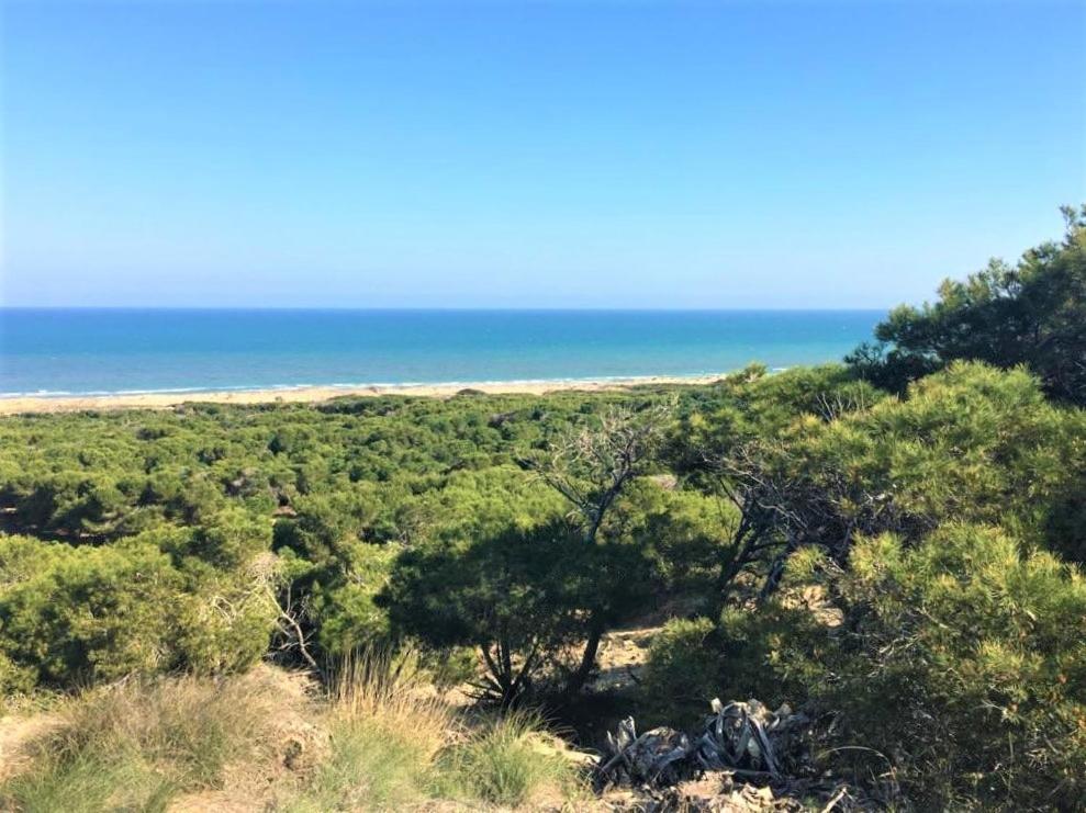 Villa Casa Jirafa Con La Vista à Gran Alacant Extérieur photo